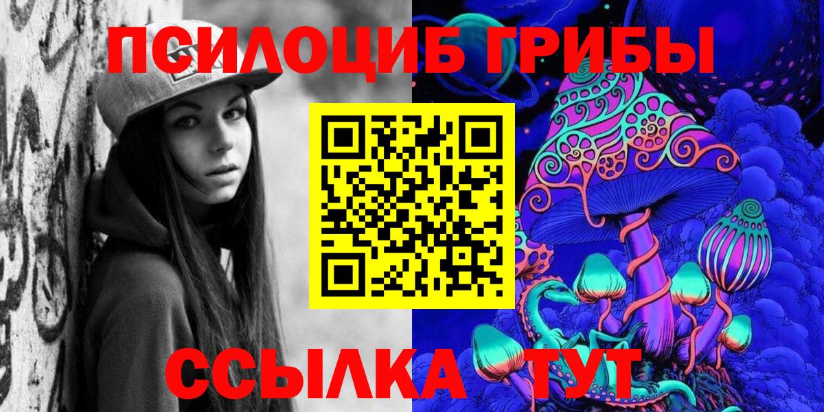 Зеленогорск  Псилоцибиновые грибы Cubensis  Вход с VPN 