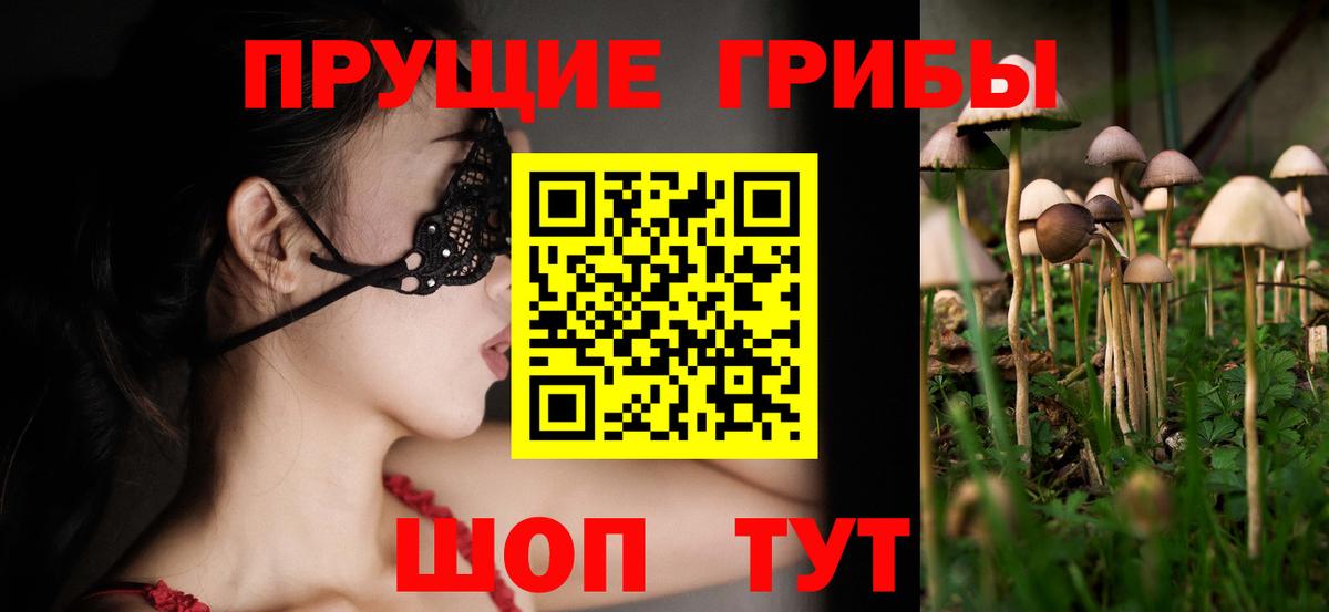 Галлюциногенные грибы мухоморы Зеленогорск
